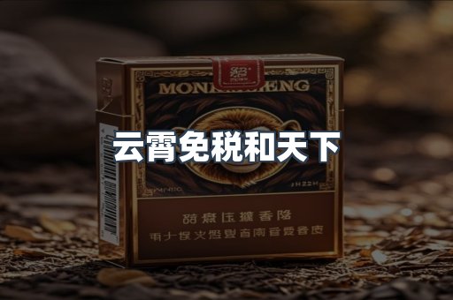 云霄免税和天下